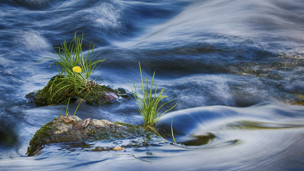 Platz 5 Willi Bitzer